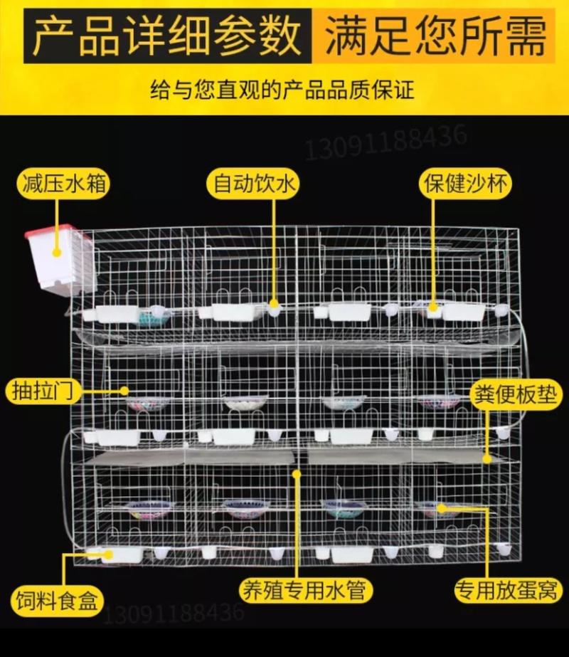 鸽子笼大号加粗鸽子用品用具12位16位养殖鸽子笼信鸽配对