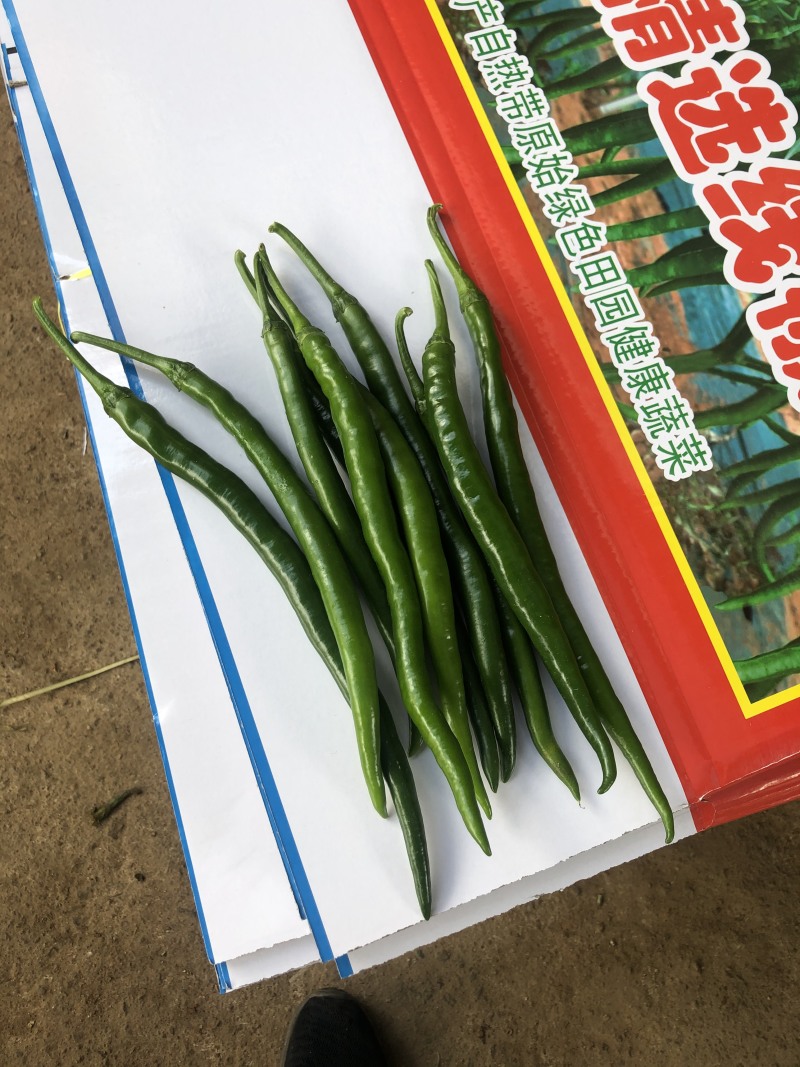 三号...线椒