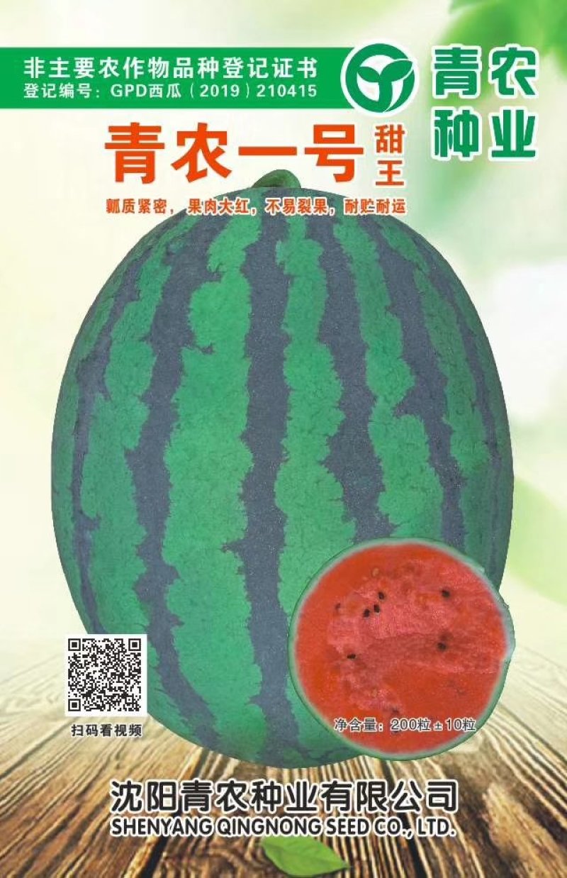 【牛】青农一号甜王皮毛好看，型好，杜鼓