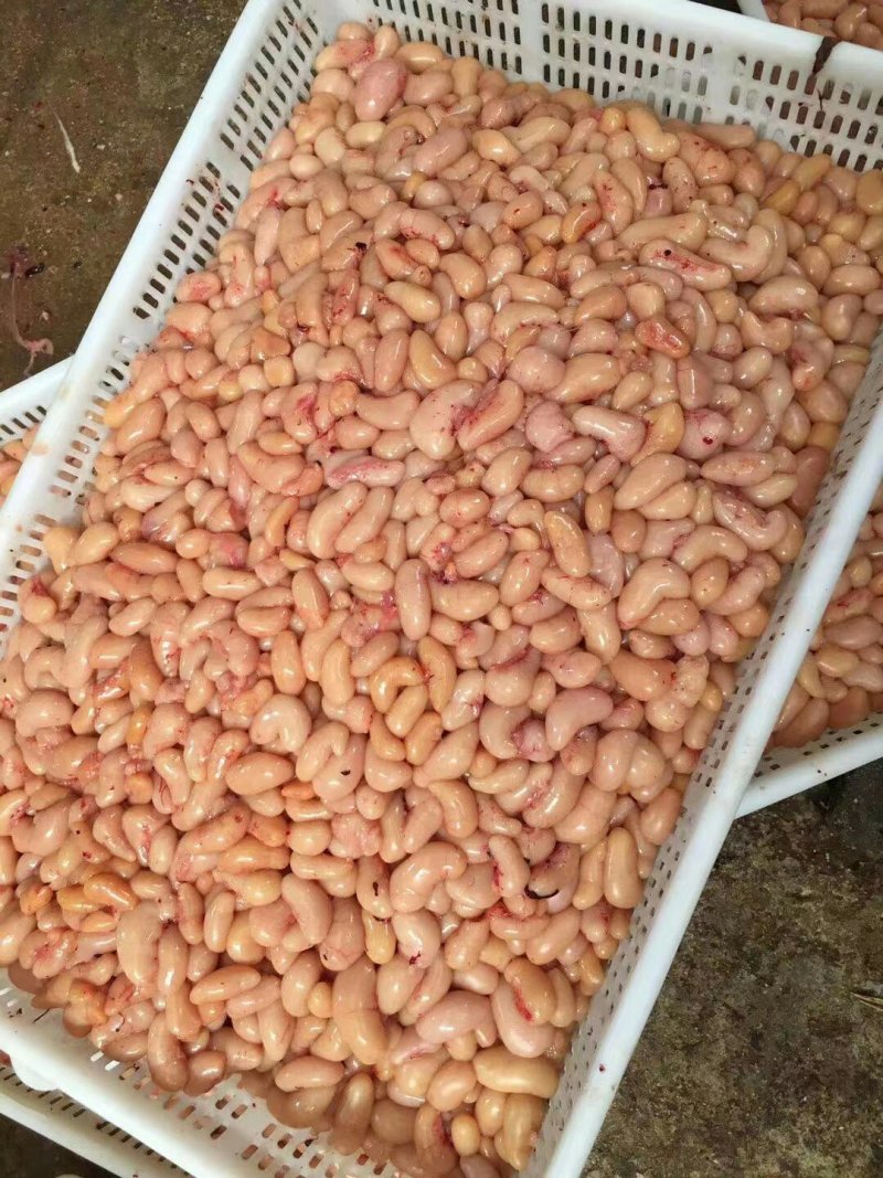 鸡腰鸡卵公鸡蛋鸡腰子鸡睾丸鸡春子