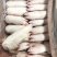 冷鲜生猪蹄猪脚猪手新鲜猪蹄10斤色正无水短的带