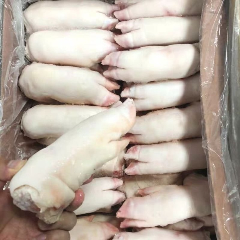 冷鲜生猪蹄猪脚猪手新鲜猪蹄10斤色正无水短的带