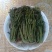 保鲜香椿芽