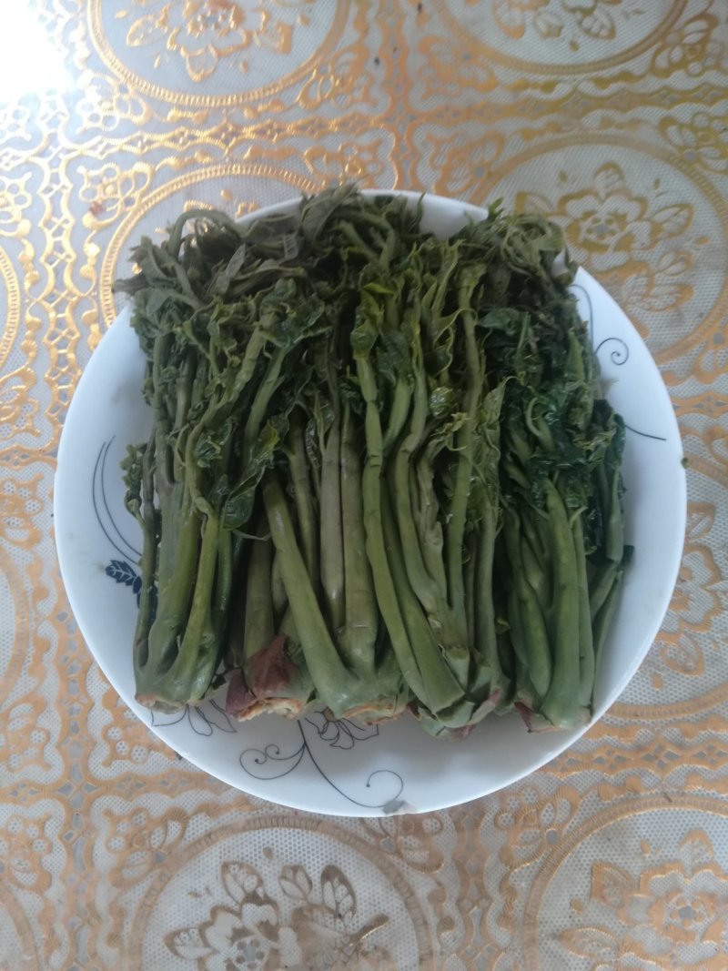 保鲜香椿芽