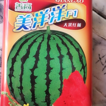 美洋洋早熟花皮深绿色大圆果西瓜品种