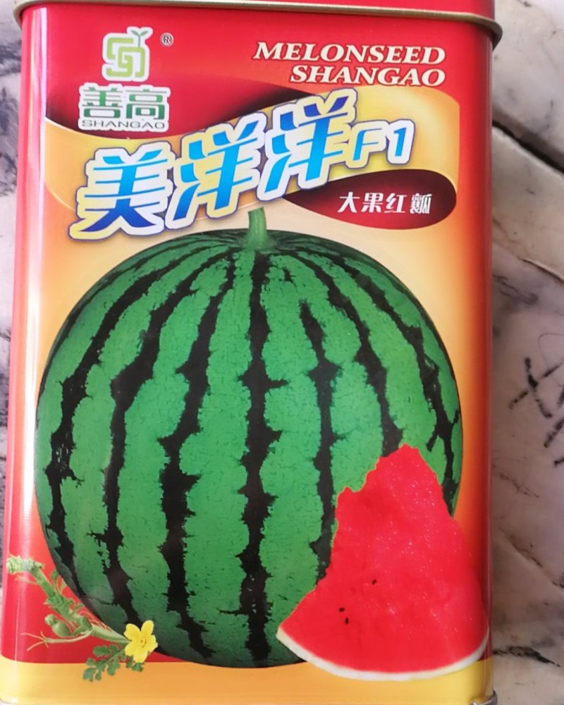 美洋洋早熟花皮深绿色大圆果西瓜品种