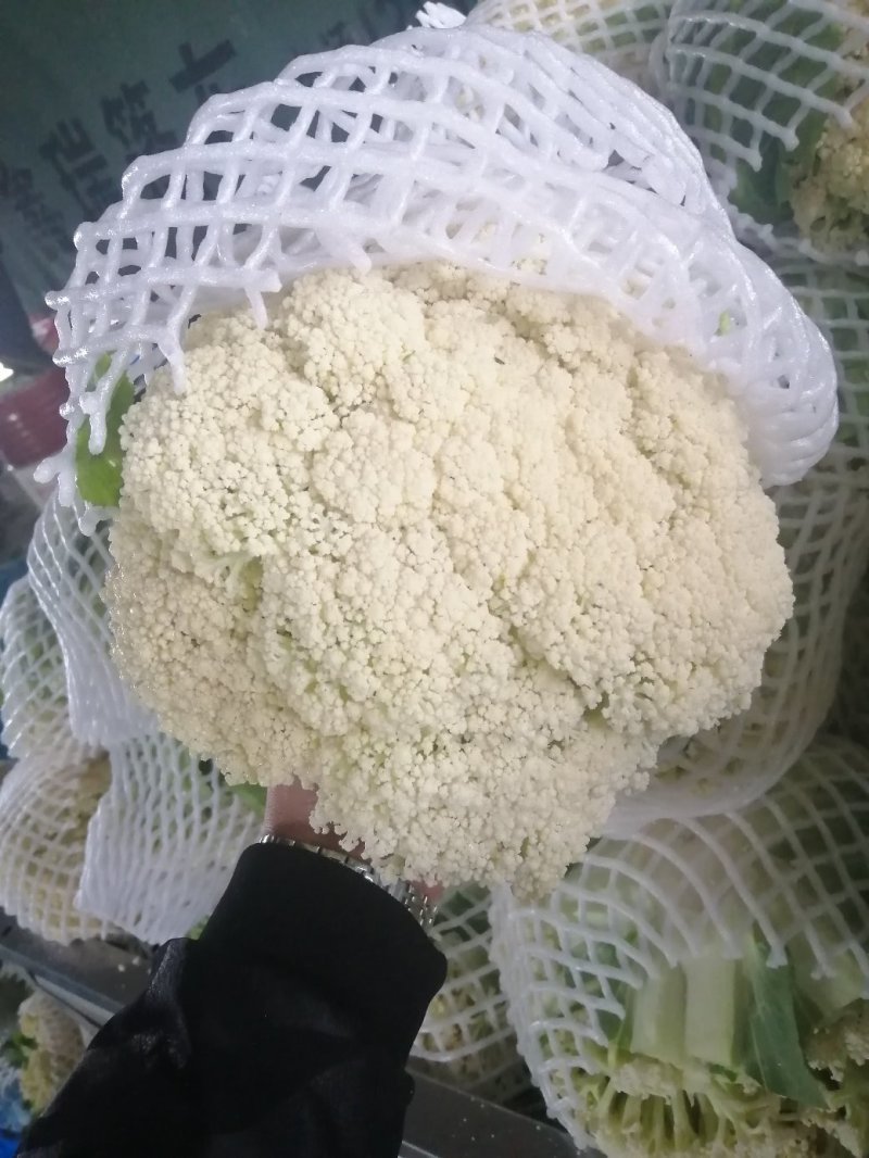 精选花菜，有机花菜，白面青梗松花，大量上市，产地直发大量