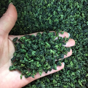 新茶秋茶安溪铁观音清香型兰花香浓香型散装