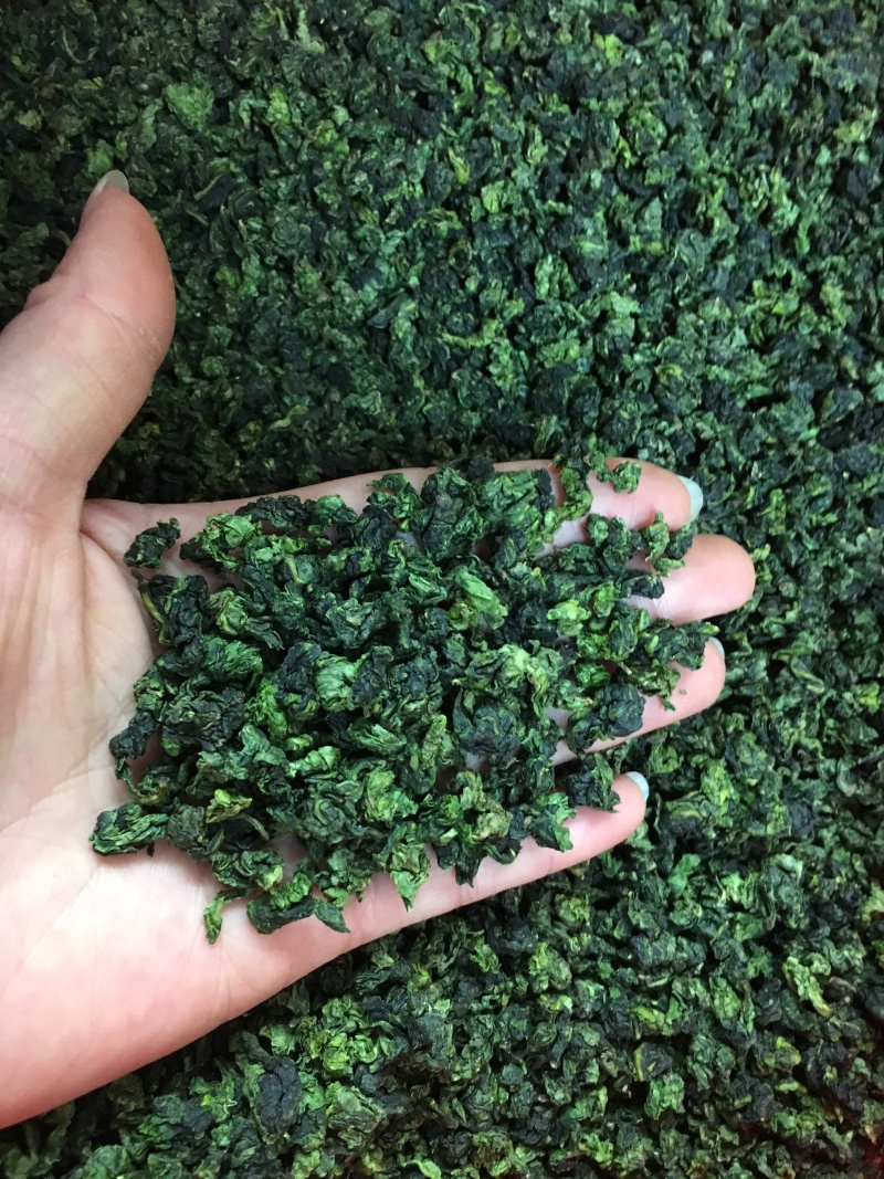 新茶秋茶安溪铁观音清香型兰花香浓香型散装