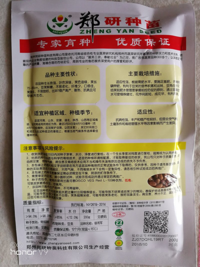 【精】郑研绿状元豆角种子200g，荚条深绿，产量高！