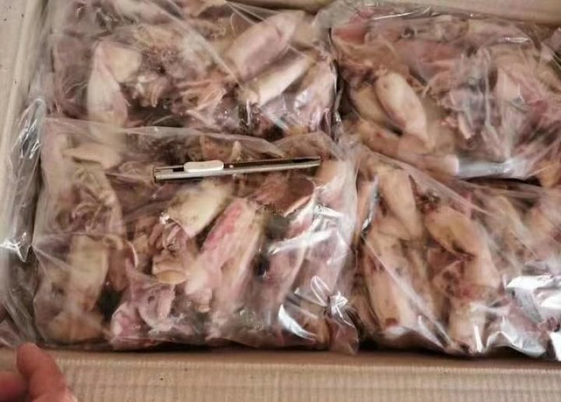 小海兔（漂烫单冻，冷链物流全国配送。