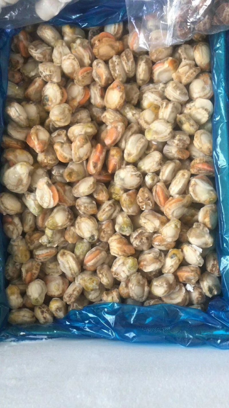 扇贝肉（熟，单冻，冷链物流全国配送。
