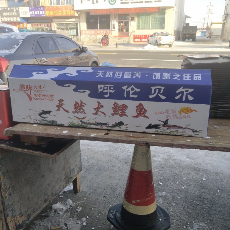 金伟活鱼批发