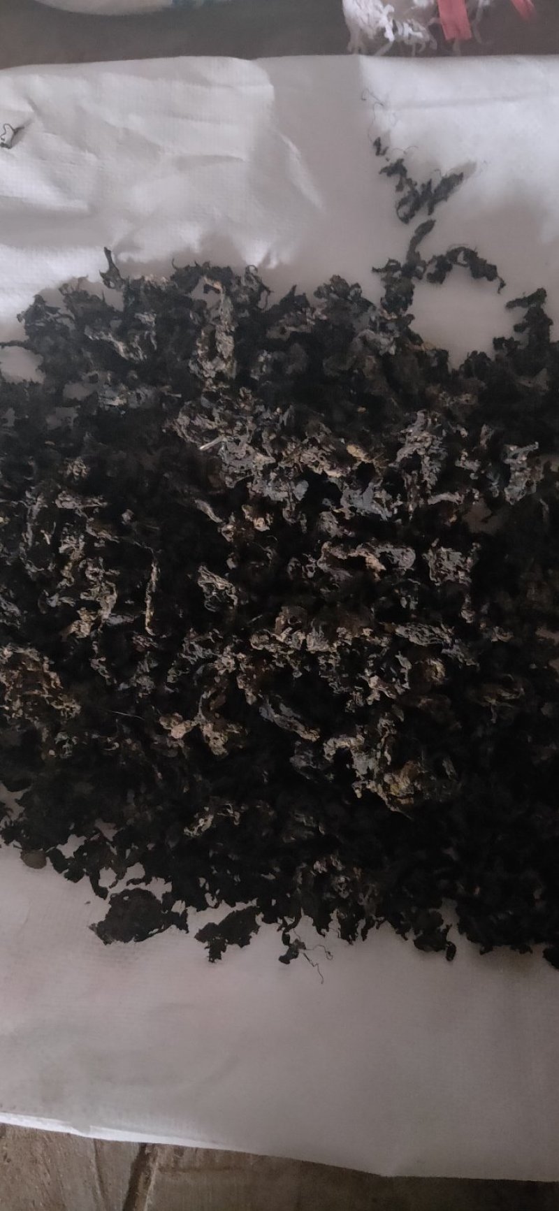 地皮菜
