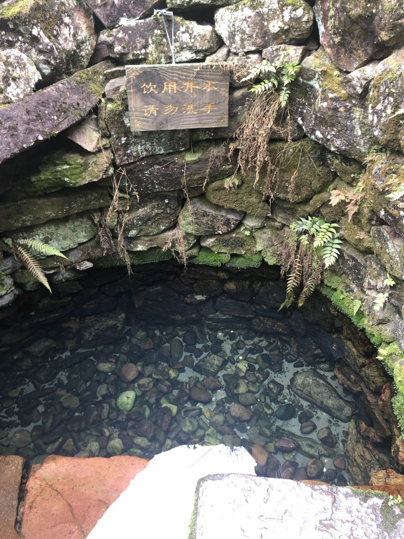 求购青鱼草鱼鲫鱼鲟鱼两万斤左右，2月份用