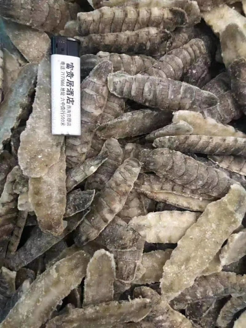 熟冻皮皮虾肉（40斤件）质量保证。冷链物流全国配送。