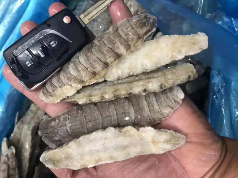 熟冻皮皮虾肉（40斤件）质量保证。冷链物流全国配送。