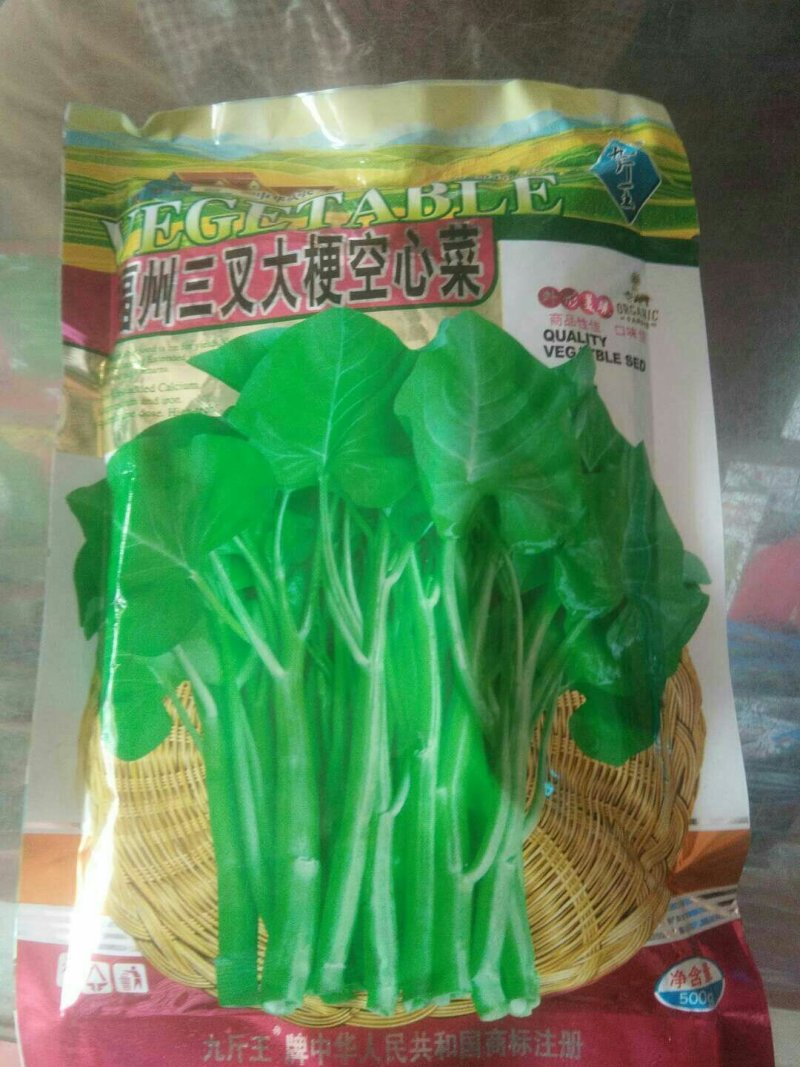 台湾竹叶空心菜种子四季蔬菜种子高品质空心菜口感好多次收割