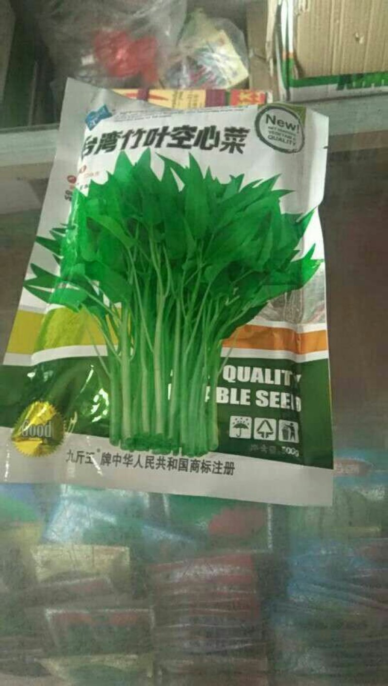台湾竹叶空心菜种子四季蔬菜种子高品质空心菜口感好多次收割