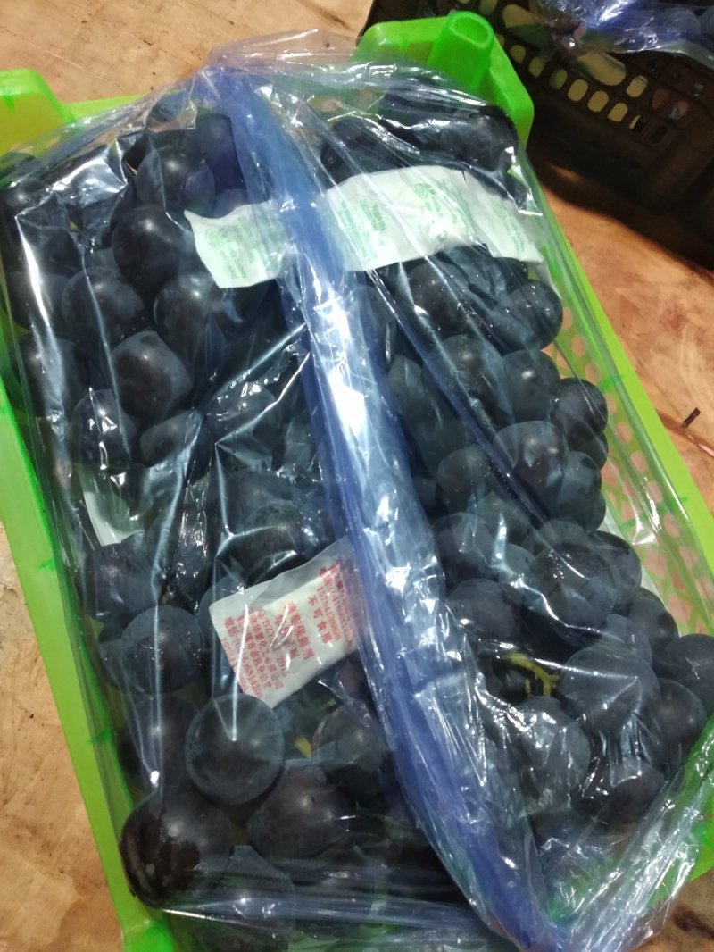 辽宁葡萄高品质五斤小白盒口感清甜产地直发量大从优