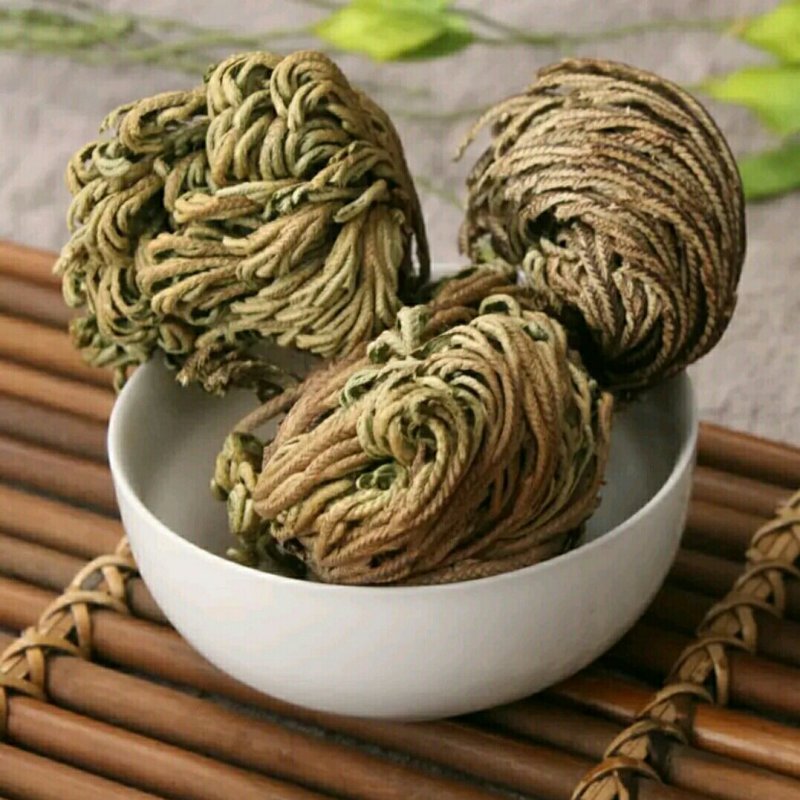 卷柏
