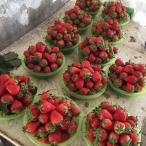 昌平红颜草莓