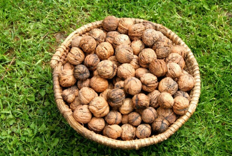 核桃油