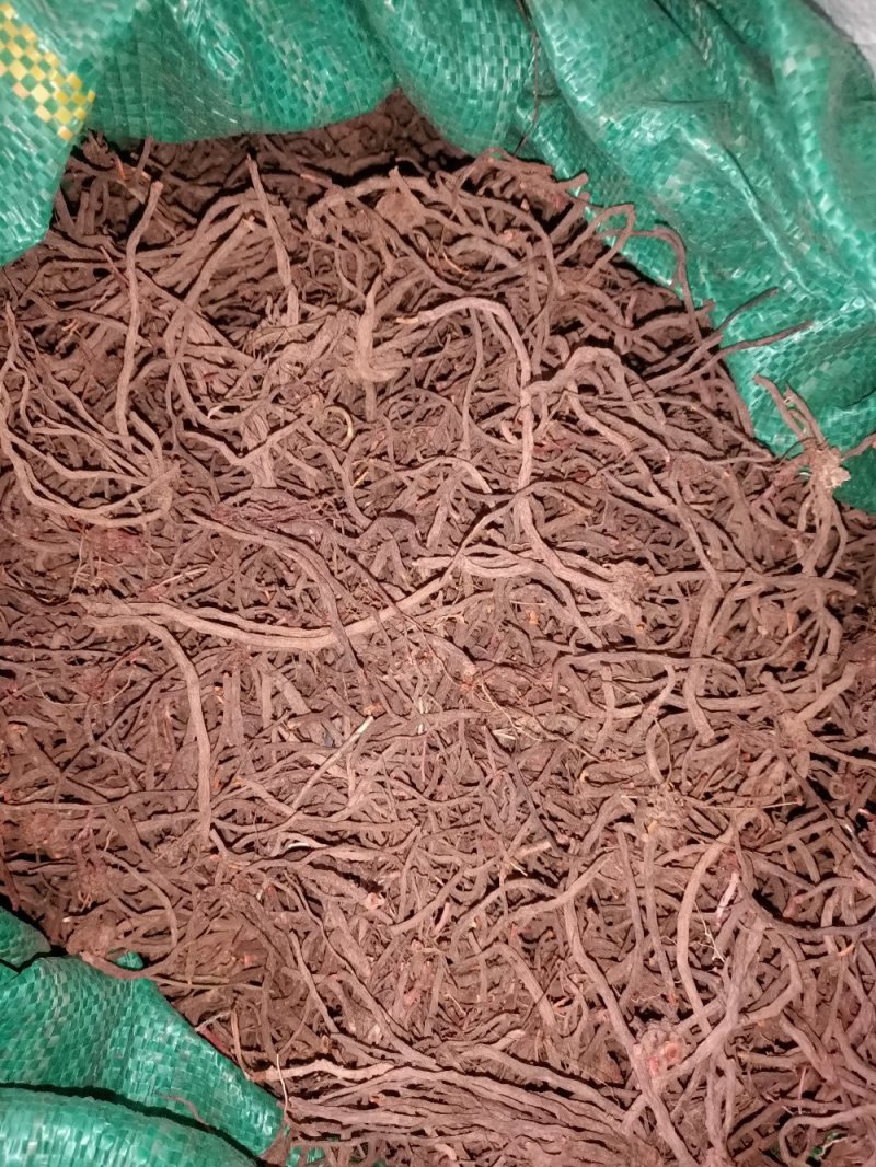 云南纯野生小红参，保证质量