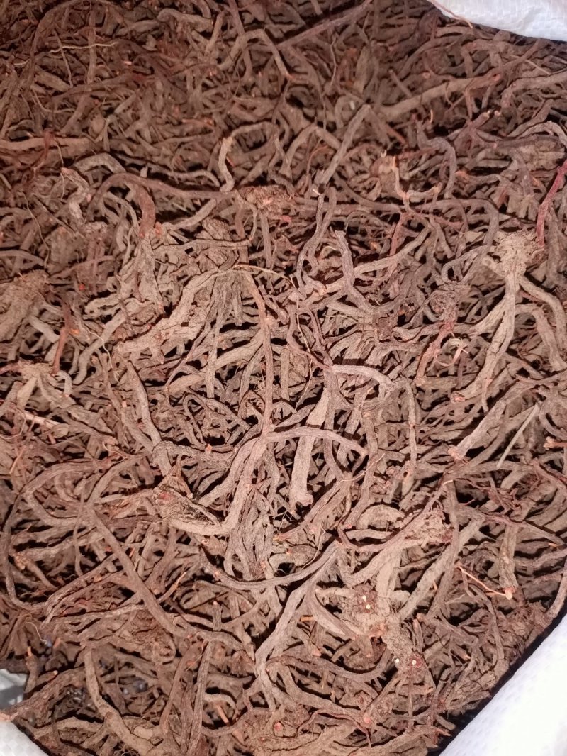 云南纯野生小红参，保证质量