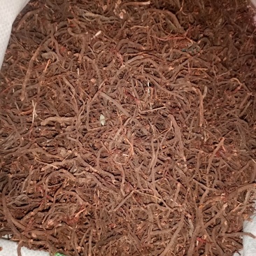 云南纯野生小红参，保证质量