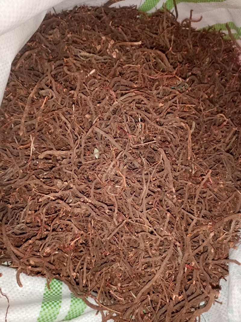 云南纯野生小红参，保证质量