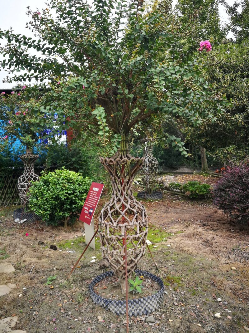 优质编织紫薇花瓶，四川花瓶基地出售，成都花瓶批发价格