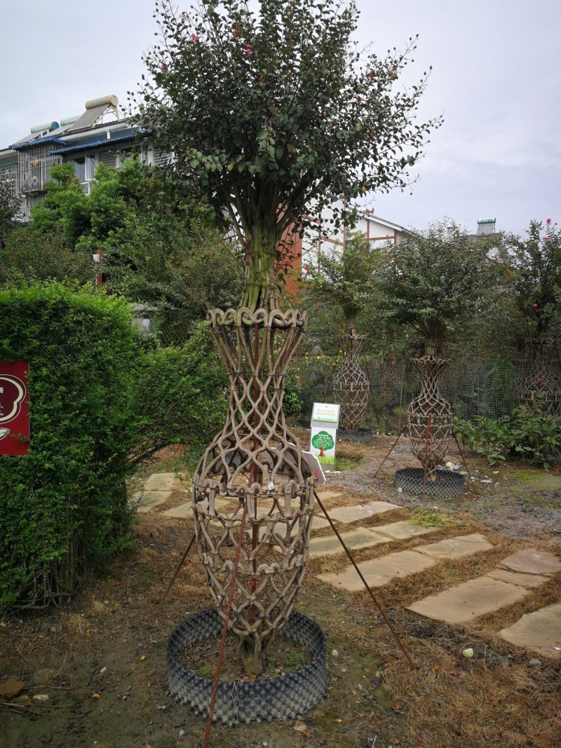 优质编织紫薇花瓶，四川花瓶基地出售，成都花瓶批发价格
