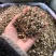 白鲜皮正品无硫白鲜皮量大从优