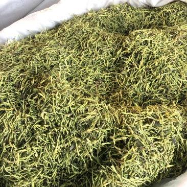 金银花无硫正品降火清肺