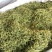 金银花无硫正品降火清肺