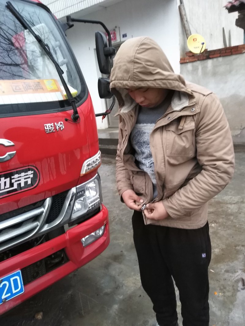 精品茼蒿菜鲜嫩水灵日供五千斤保质保量可长期供货