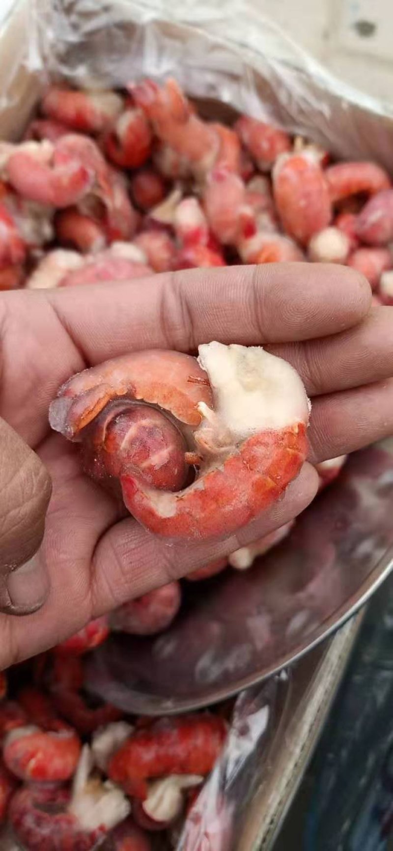虾尾