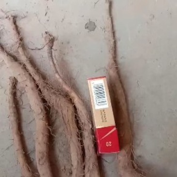 铁棍山药