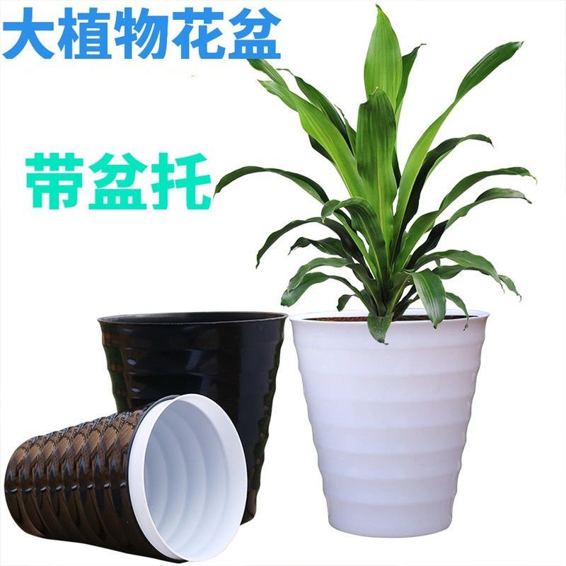 超大螺纹花盆加厚白色黑色仿瓷树脂花盆送托盘盆景植物大型塑