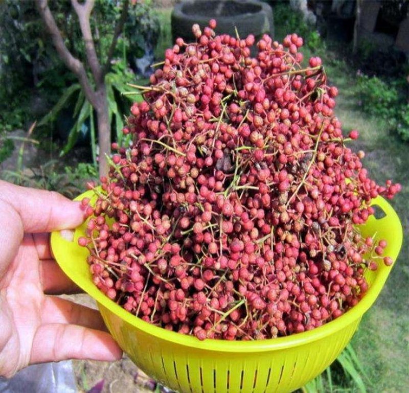 花椒，清花椒各种规格常年批发代购花椒