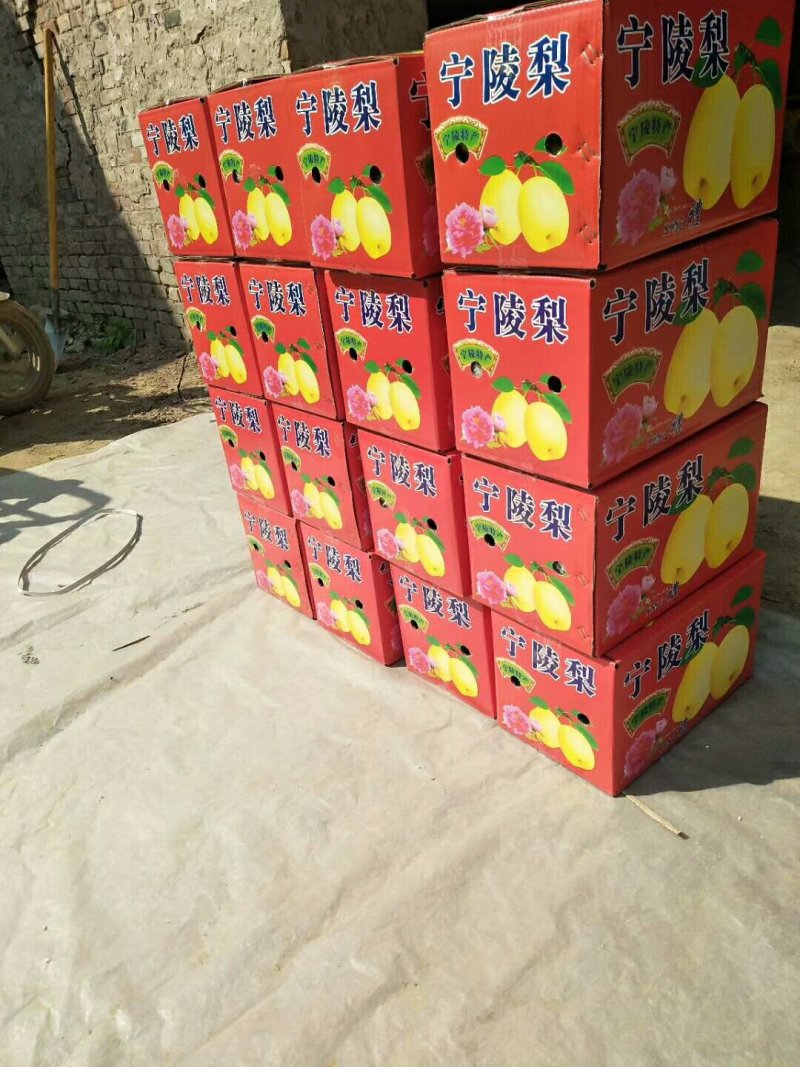 宁陵县原产地酥梨光果250g-350g