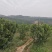 化橘红果园，可种植养殖建农庄，鱼塘环抱，设施齐全。