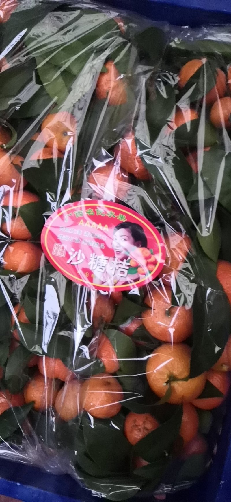 广西河池沙糖桔待售，产地实力代办