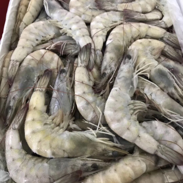 批发带鱼大海虾