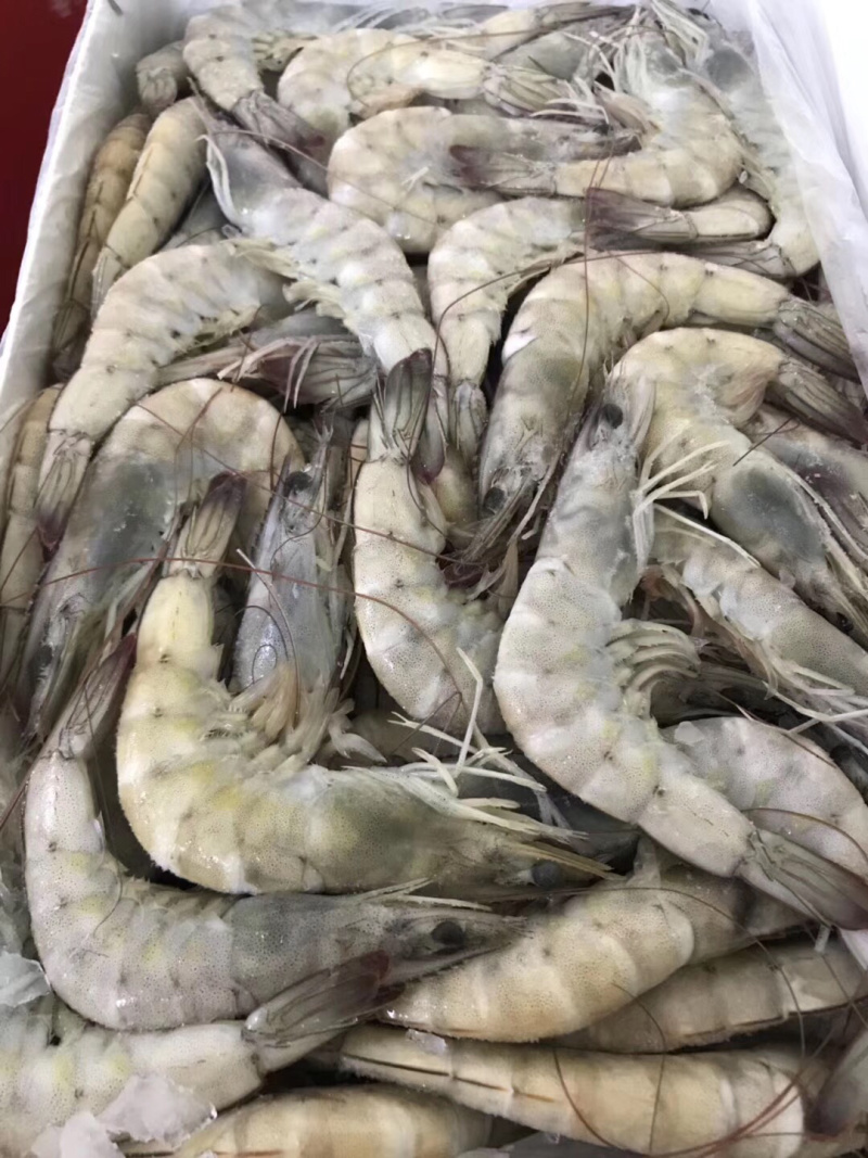 批发带鱼大海虾
