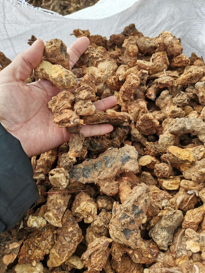 成个野生土茯苓干货，精品