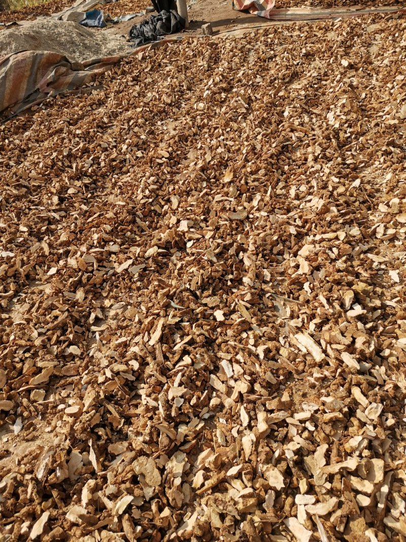 成个野生土茯苓干货，精品