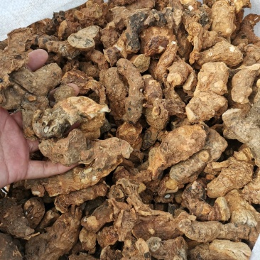成个野生土茯苓干货，精品