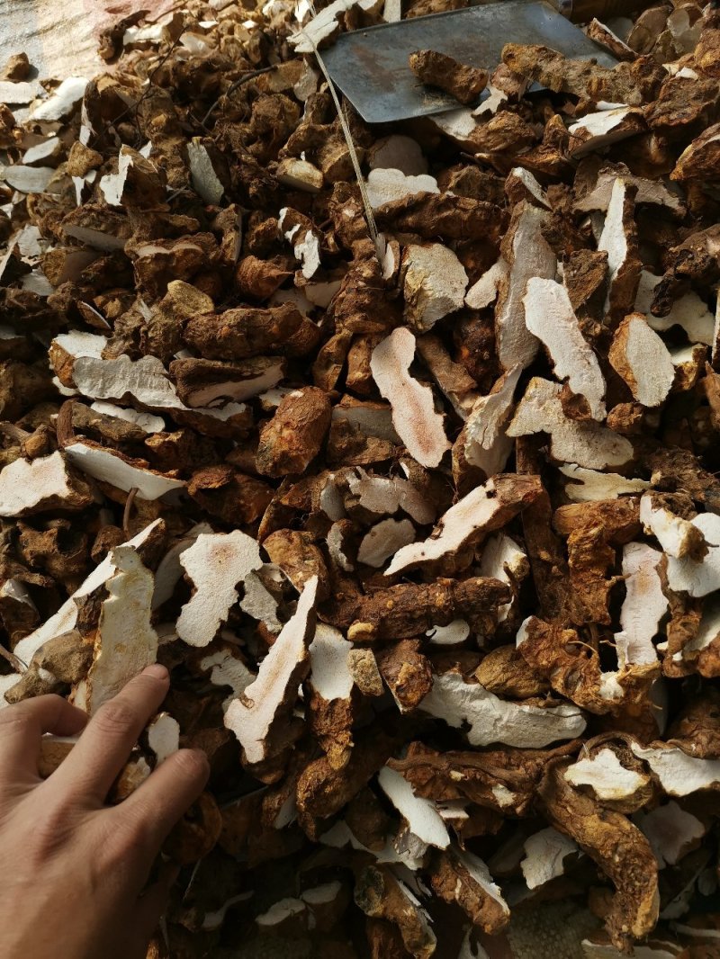 土茯苓大片，大量供应！优质